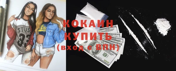 гашик Пестово