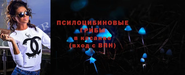 гашик Пестово
