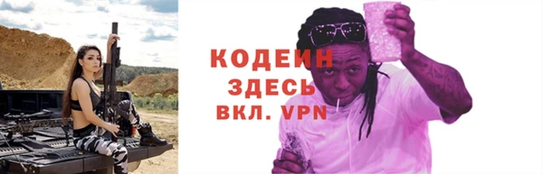 гашик Пестово