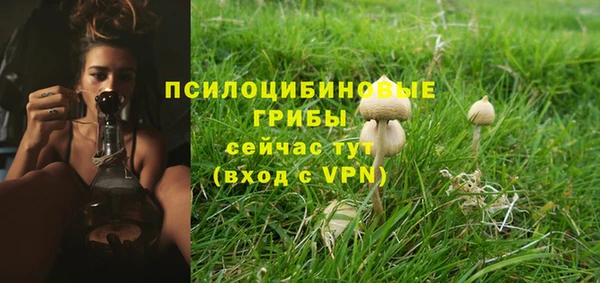 MDMA Переславль-Залесский