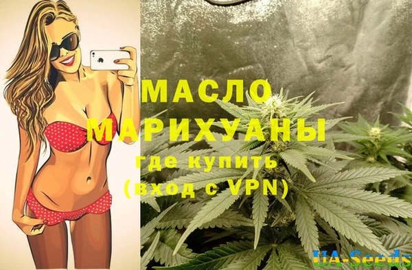 гашик Пестово