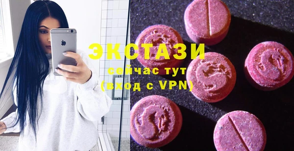 гашик Пестово