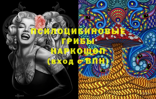 гашик Пестово