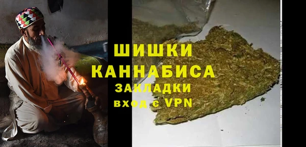 гашик Пестово