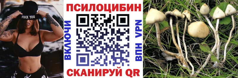 Псилоцибиновые грибы GOLDEN TEACHER  продажа наркотиков  Петушки 